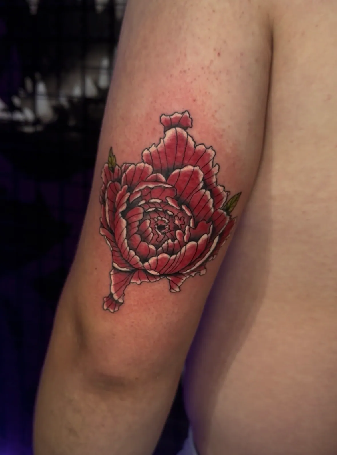 Tetovaža u boji crvenog božura oblikovanog kao obrisi Kosova, Dropz Tattoo Studio Niš