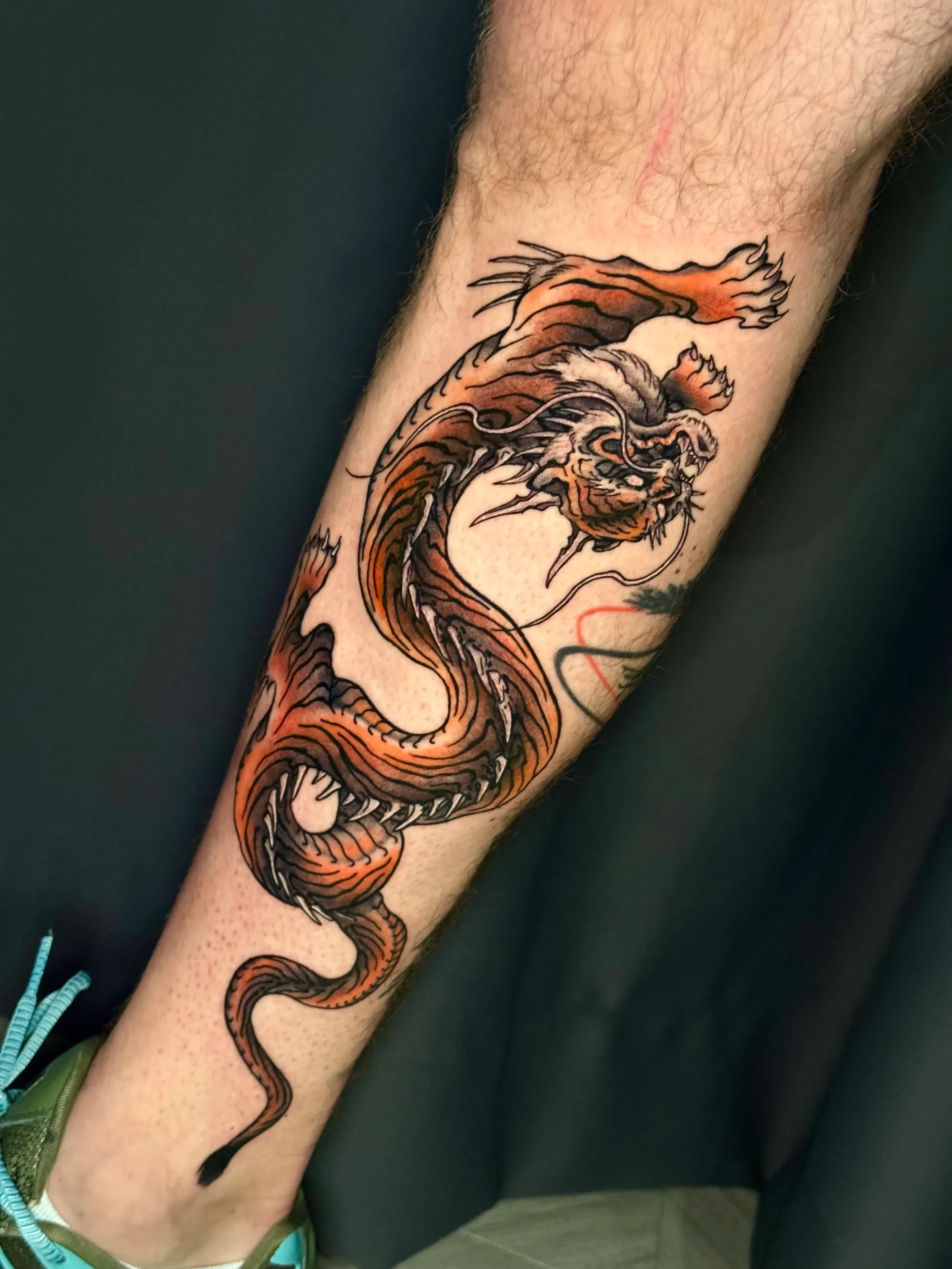 Tetovaža u boji mitskog bića koje spaja tigra i zmaja na potkolenici, Dropz Tattoo Studio Niš